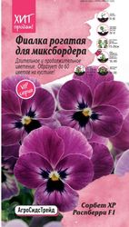 Фиалка рогатая Сорбет XP Распберри F1 5 шт АСТ, крупный план