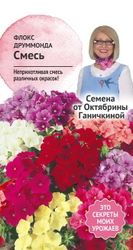 Семена Флокс друммонда смесь Семена от Октябрины Ганичкиной 0,1 гр, детальное фото