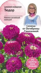 Семена Циннии Октябрина Ганичкина Тюдор 10 шт, вид