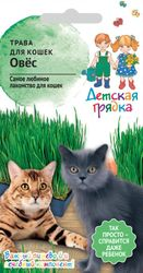 Семена Трава для кошек Овёс 10 г Детская грядка, крупный план
