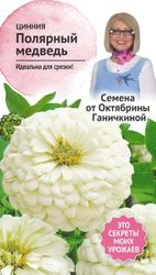 Семена Циннии Октябрина Ганичкина Полярный медведь 0,5 г, крупный план