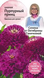 Семена Циннии Октябрина Ганичкина Пурпурный принц 0,5 г, детальное фото