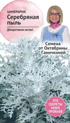 Семена Цинерарии Октябрина Ганичина Серебряная пыль 0,1 г, детальное фото