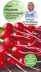 Семена РЕДИС АСКАНИЯ  2 Г, картинка
