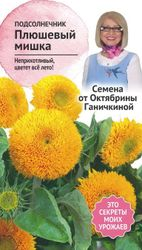 Семена Подсолнечника Октябрина Ганичкина Плюшевый мишка 0,5 г, крупный план