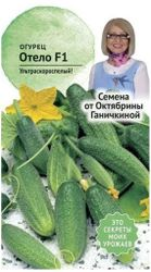 Семена Огурца Октябрина Ганичкина Отело F1 3 г, вид