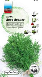 Семена Укроп Диво дивное  ПАТРИОТ, крупный план