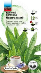 Семена Цикорий корневой Петровский ПАТРИОТ, крупный план