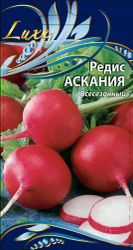 Семена Редиса Аскания 1г, вид