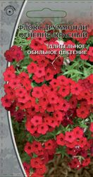 Семена Флокс  друммонди  Огненно-красный  0,1гр, детальное фото