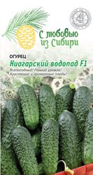 Семена Огурец Ниагарский водопад F1(Сибирская серия)   0,25 гр, фото