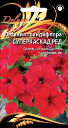 Петуния грандифлора Суперкаскад Ред, 10шт, детальное фото