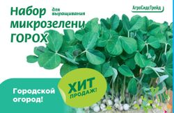 Набор для выращивания микрозелени ГОРОХ 30 г АСТ, фотография