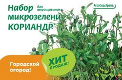 Набор для выращивания микрозелени КОРИАНДР  6 г АСТ, крупный план