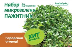 Набор для выращивания микрозелени ПАЖИТНИК АСТ, крупный план
