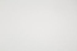 Обои флизелиновые Palitra Home Exotica HC72242-11 1,06Х10,05 м, фото