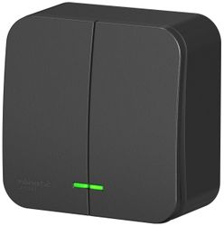 Выключатель 2-клавишный Schneider Electric BLANCA BLNVA105116 антрацит, вид
