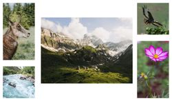Набор из 5 картин "Горный пейзаж", детальное фото