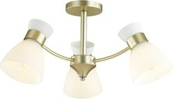 Подвесная люстра SONEX Wilma 4535/3C, изображение
