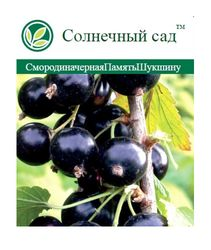 Растение Смородина черная С2 Н35, изображение