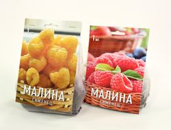 Растение Малина в капере в ассортименте 1 шт, изображение