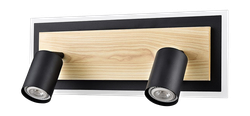 8025/19WL LEDIO Настенно-потолочный светильник LED GU10 2*10W + LED 19W 220V PINE, фото