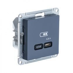 Розетка USB Type-C 1 пост Systeme Electric Atlas Design грифель, вид
