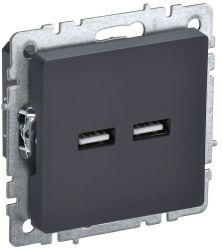 Розетка USB 1 пост IEK BRITE графит, детальное фото