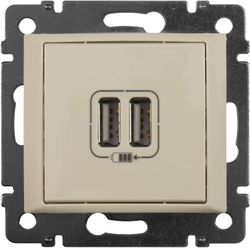Розетка USB 2 поста Legrand Valena слоновая кость, фотография