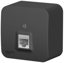 Розетка RJ-11 1 пост Schneider Electric BLANCA антрацит, вид