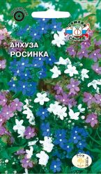 Семена Анхуза СеДеК Росинка капская, картинка