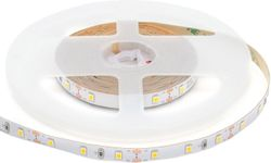Светодиодная лента Apeyron Electrics SMD 3528 60LED IP20 12В 4,8Вт белый 1 м, вид
