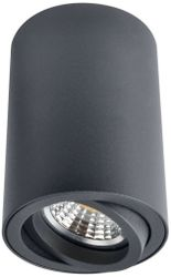 Потолочный светильник ARTE Lamp SENTRY A1560PL-1BK, детальное фото