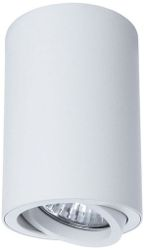 Потолочный светильник ARTE Lamp SENTRY A1560PL-1WH, фото