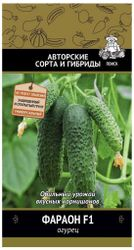 Семена Огурца ПОИСК Авторские сорта и гибриды Фараон F1 12 шт, крупный план