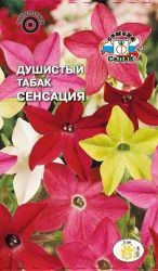Семена табака душистого СеДеК Сенсация 0,1 г, вид
