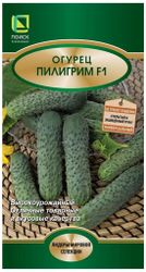 Семена Огурца ПОИСК Пилигрим F1 12 x 12 шт, картинка