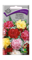Семена ПОИСК гвоздика Гренадин смесь 0,25 г, изображение