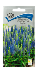 Семена, детальное фото