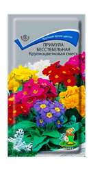 Семена ПОИСК примула Смесь 0,04 г, вид
