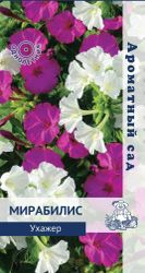 Семена Мирабилис Ухажер Поиск 1 гр, крупный план