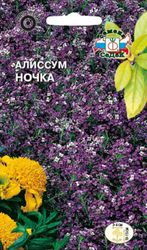 Семена Алиссум Ночка морской СеДек, фотография