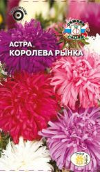 Астра Королева Рынка СеДек, фото