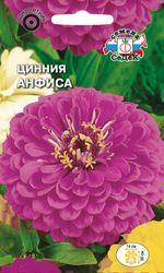 Семена Цинния Анфиса георгиновидная СеДеК 0,5 гр, крупный план