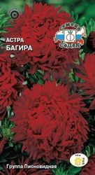 Семена Астры СеДеК Багира 0,2 г, вид