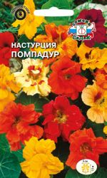 Семена Настурция Помпадур СеДек, вид