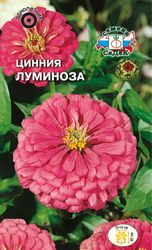 Цинния Луминоза СеДек, фото