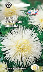 Семена Астра Утренняя Звезда СеДеК 0,2 гр, изображение