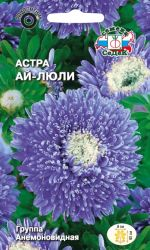 Астра Ай-люли СеДек, вид