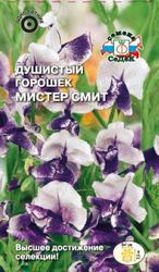 Семена Горошек душистый Мистер-Смит СеДек, крупный план